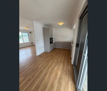 Large backyard with a shed - Photo 3