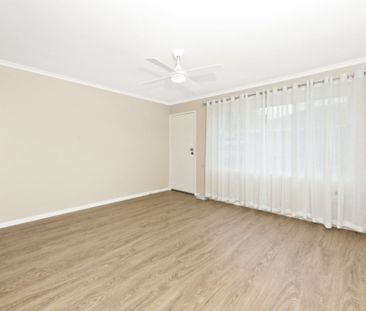 Updated Two Bedroom Unit in Brown Hill - Photo 1