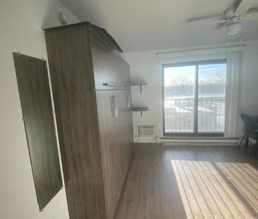 1 1/2 - Montréal (La Petite-Patrie) - 950 $/mois - Photo 1