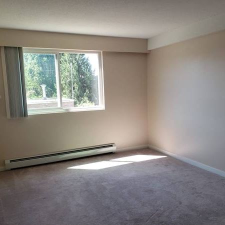 Seafair / Steveston Apartment for Rent - Photo 1