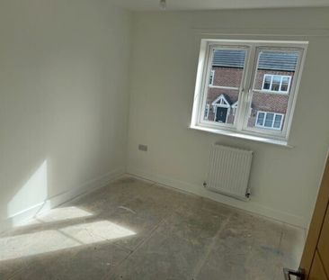 Delamore Drive - Photo 2