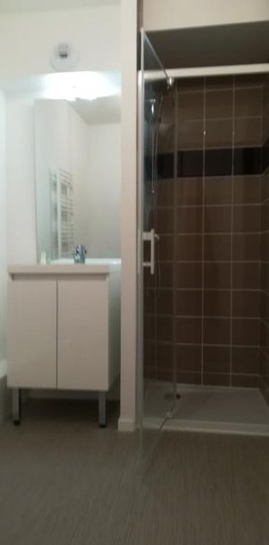 Location Appartement 1 pièce 22m² PONT L EVEQUE 14130 - Photo 2