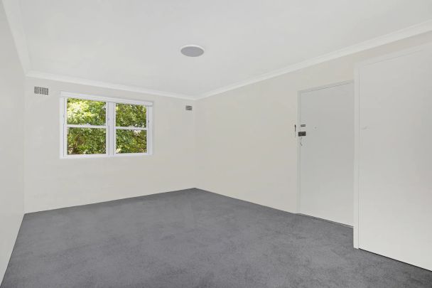 Refreshed Apartment In The Heart of Randwick - Photo 1
