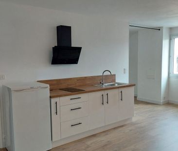 Location appartement 1 pièce, 37.45m², Laval - Photo 3