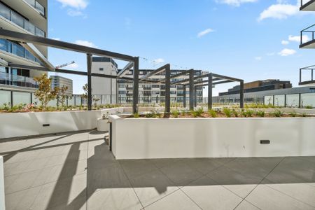 Charming Apartment in the Heart of Woden - Photo 5