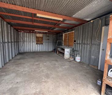 Catch of the Day - Photo 5