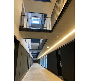 geförderte 2-Zi Neubauwohnung mit Loggia, unbefristet - Photo 3
