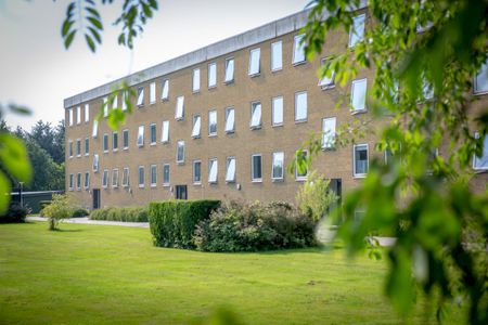 3-vær., Falkevej - Photo 3