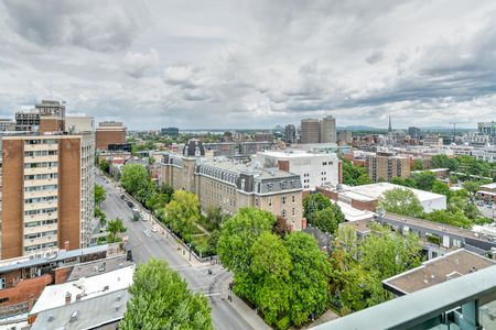 Flex Basic - Sherbrooke - Photo 2
