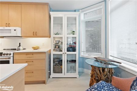 For Lease - 10 BAY Street Unit# 101, Blue Mountains, Ontario - Photo 4