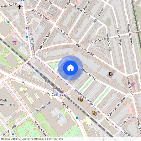 Llandough Street, CF24 4AW, Cathays