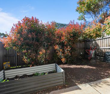 6/4 Taroona Pl, Lyons ACT 2606 - Townhouse For Rent | Domain - Photo 1