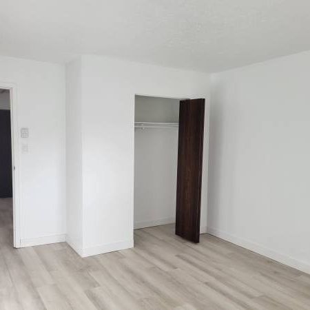 1 bed 1 bath - Photo 3