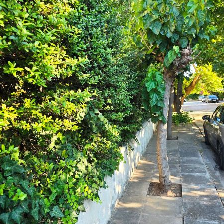 Διαμέρισμα για ενοικίαση Στροφύλι (Κηφισιά) - Photo 3
