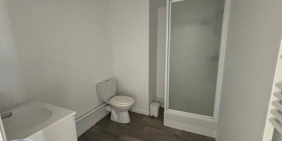 Location Appartement 1 pièce 25m² NANTES 44000 - Photo 3