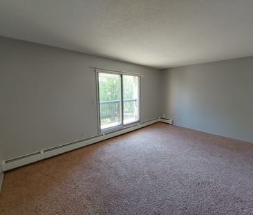 1 Bedroom Unit in Mature Area of Downtown - Photo 3