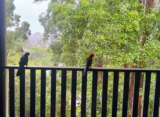 Buderim - Photo 1