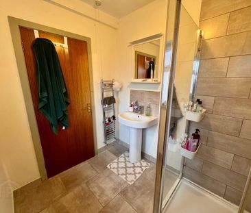 19 Egeria Street, Donegall Road, Belfast, BT12 5PN - Photo 4