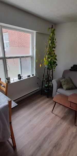 Beau 3 1/2 à Louer électros Inclus - Photo 1