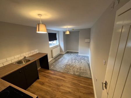 Studio Flat, Nottingham Road, NG6 - Photo 5