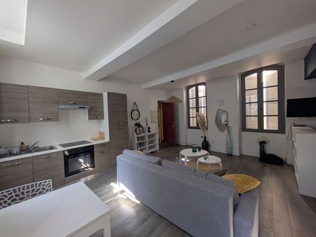 Appartement T1 AVIGNON à louer - Photo 4
