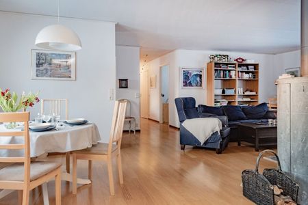 Bergsvägen, Tärnaby - Foto 4