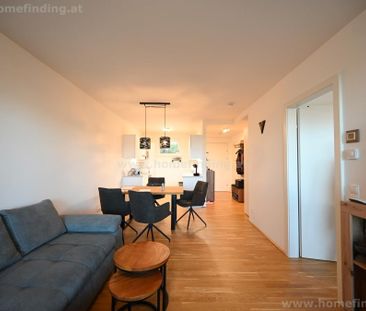 südseitige Gartenwohnung, 2 Zimmer, Garage möglich I befristet - Foto 3