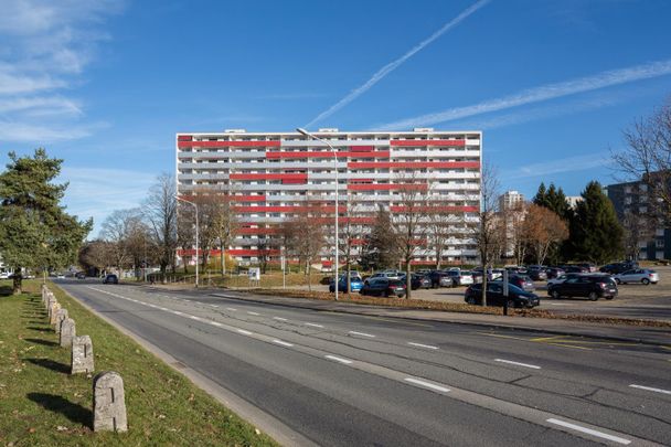 2 Zimmer, 45 m², 9. Stock - Photo 1