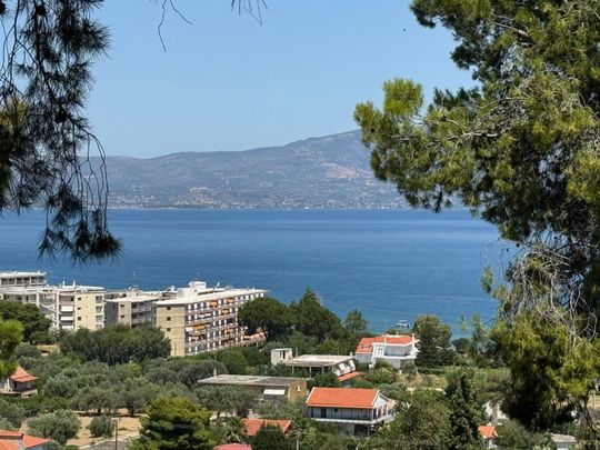 Μονοκατοικία για ενοικίαση Παραλία Μαρκόπουλου Ωρωπού (Μαρκόπουλο Ωρωπού) - Photo 1
