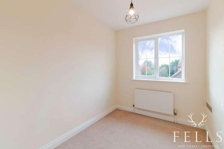 Saddlers Close, Fordingbridge, SP6 - Photo 5