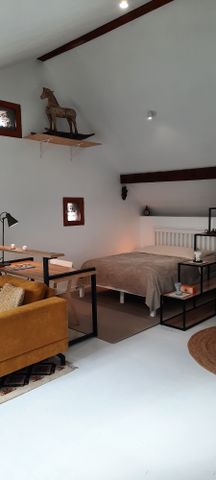 Location Appartement 1 pièce 50m² MULHOUSE 68100 - Photo 3