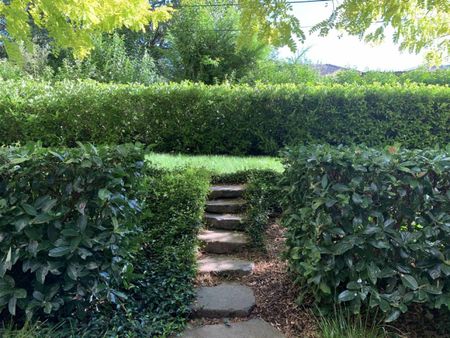 Lowanna St - architectural award winning apartment - Photo 3