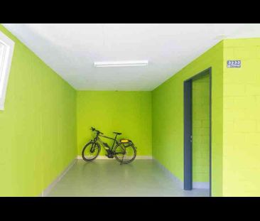 3.5 Zimmer, 80 m², 2. Stock - Foto 6