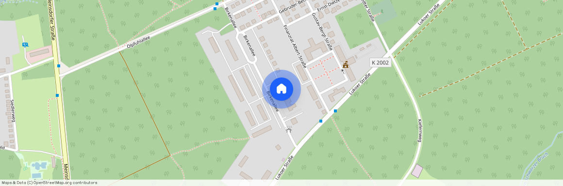 Birkenallee 8, 06862 Dessau-Roßlau