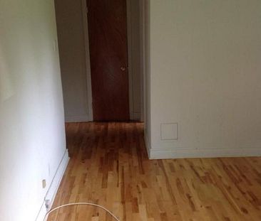 1 CH - 1 SDB - Montréal - $1,300 /mo - Photo 4