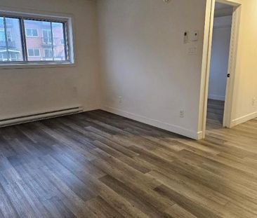 1 CH - 1 SDB - Montréal - $1,345 /mo - Photo 1