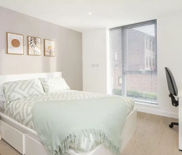 Premium Studio - Photo 5