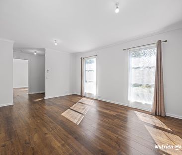 3 Bedroom 1 Bathroom, recently renovated - Photo 2