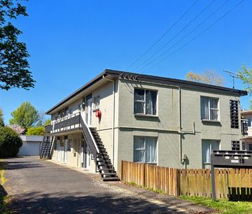 Two Bedroom Downstairs Unit - Claudelands - Photo 3