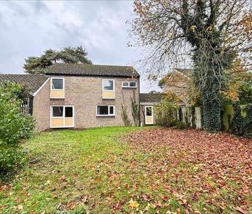 Cedar Close, Raf Lakenheath, IP27 - Photo 5