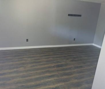 1+ bedroom basement suite close to UofT - Photo 4