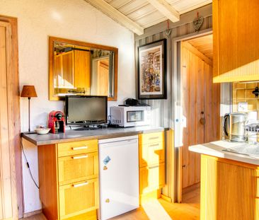 FOR RENT Beautiful furnished 2 ½-room apartment in the heart of nature - Photo 1