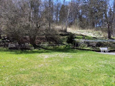 ...zentral in Hirschberg - 1,5 Raum Etagenwohnung ! - Foto 3