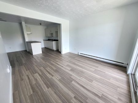 Logement 3 ½ entièrement rénové – Sherbrooke Secteur Université et Mont-Bellevue - Photo 2