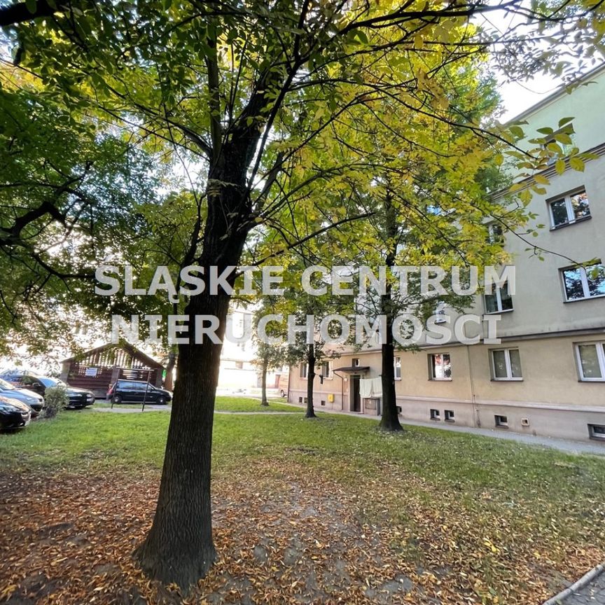 Ligota, Piotrowicka, Katowice - Zdjęcie 1