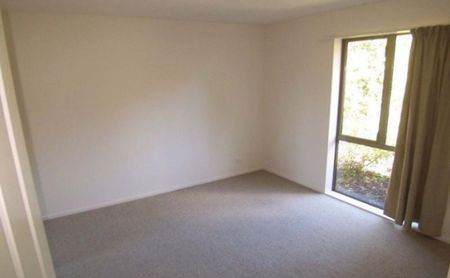 Modern Executive Living in Sought-After Wigram - Photo 4