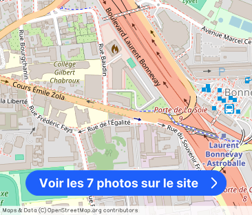 Cours Émile-Zola, Villeurbanne - Photo 1