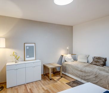 Newly furnished apartment at the Pachmayrplatz - Photo 4