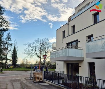 Location Appartement 2 pièces 41m² LINGOLSHEIM 67380 - Photo 5