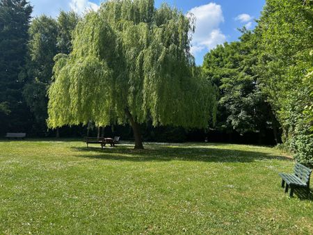 T3 Lambersart Secteur Lambersart - Photo 2
